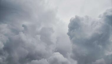 June 24 weather: Cloudy skies with chance of showers in southern Ontario