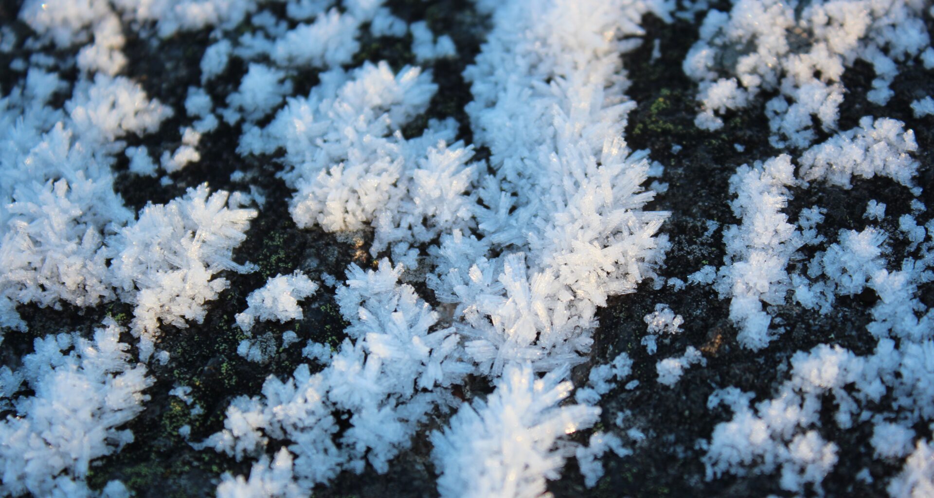 Thawing Permafrost Rocks May Help Absorb Carbon Dioxide