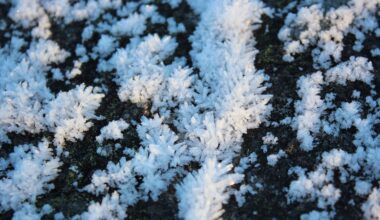 Thawing Permafrost Rocks May Help Absorb Carbon Dioxide
