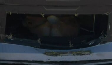 Metal cover comes up and tears through the nose of NASCAR O'Reilly car, stopping race