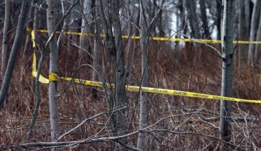 Police tape hangs in trees in a wooded area.