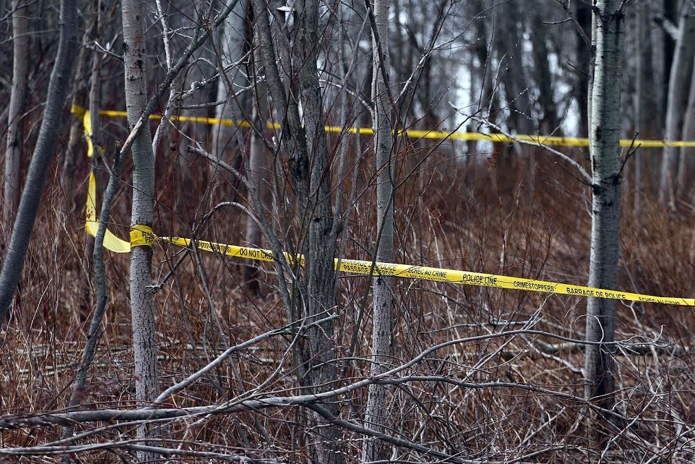 Police tape hangs in trees in a wooded area.