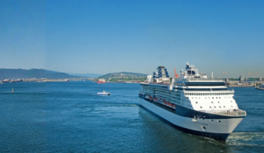 Staying Healthy While Traveling: Cruise and Flight Tips