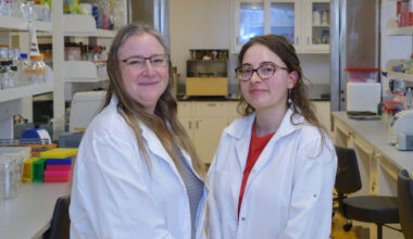 Yellow mealworms dissected for the first time