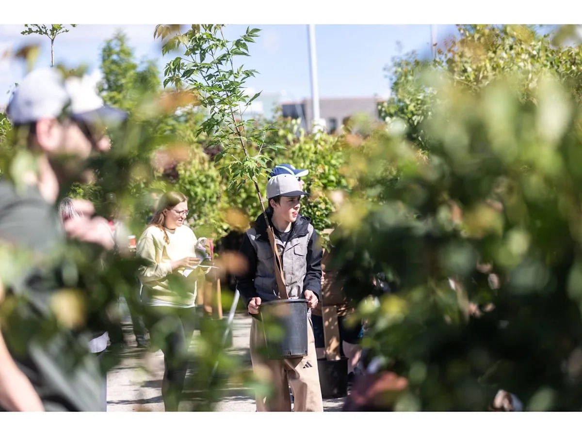 Tree giveaway aims to green up Calgary's canopy