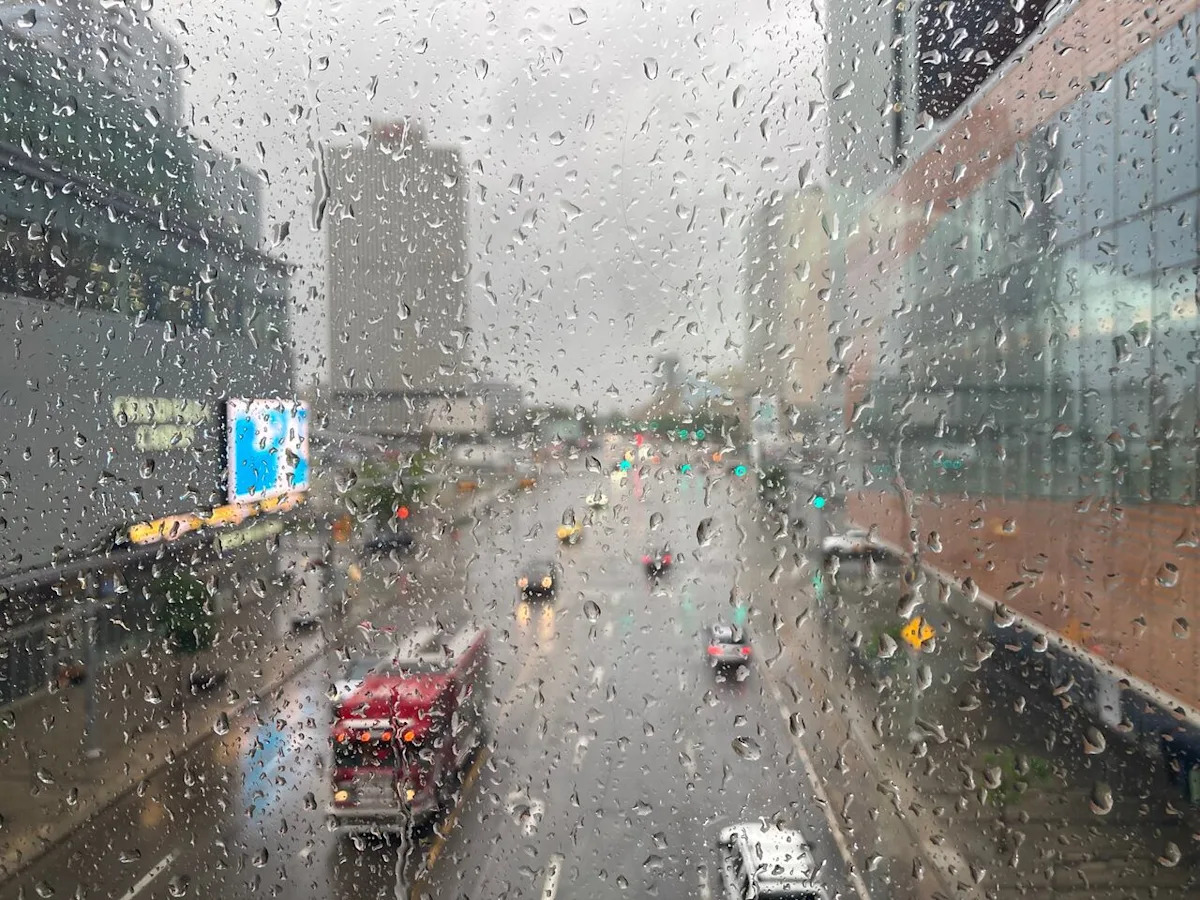 Edmonton, central Alberta expected to get drenched with up to 70 mm of rain
