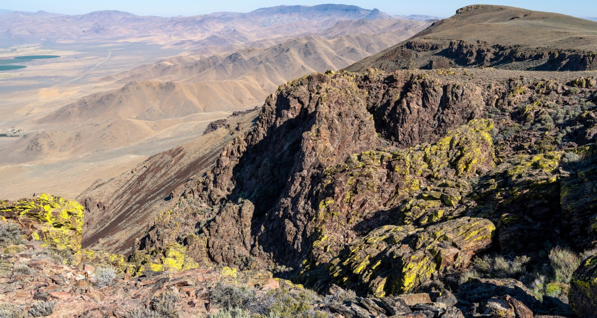 Desert moss may hide one of Earth's oldest partnerships