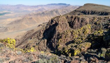 Desert moss may hide one of Earth's oldest partnerships