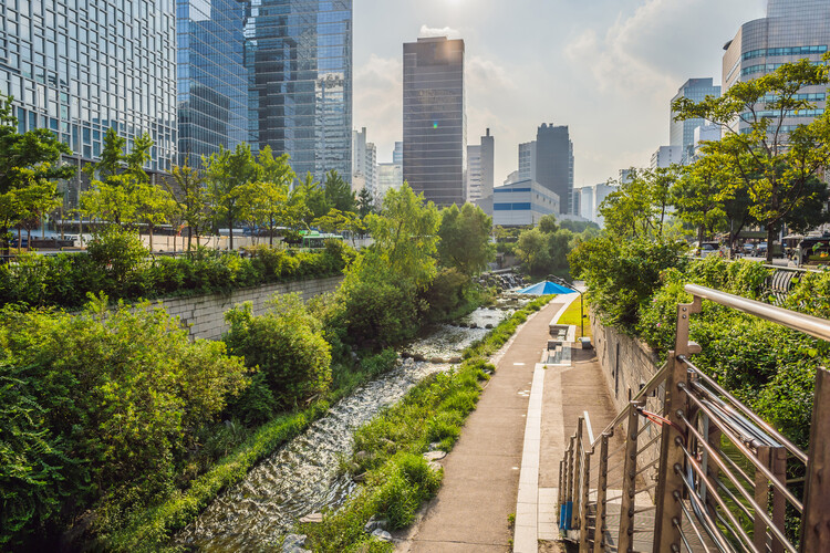 Designing for Stray Cities: Architecture Beyond the Human - Image 8 of 15