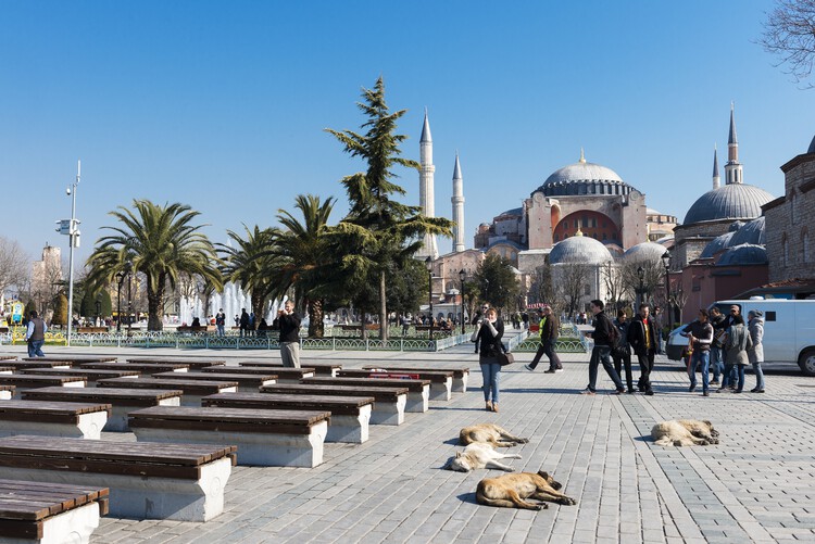 Designing for Stray Cities: Architecture Beyond the Human - Image 1 of 15