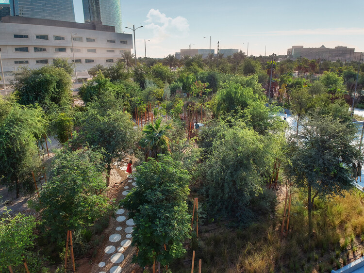 Designing for Stray Cities: Architecture Beyond the Human - Image 12 of 15