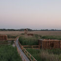 Walking Path of Rural Geometries Barn. Image © Szabolcs Molnár Designing for Stray Cities: Architecture Beyond the Human - Image 5 of 15