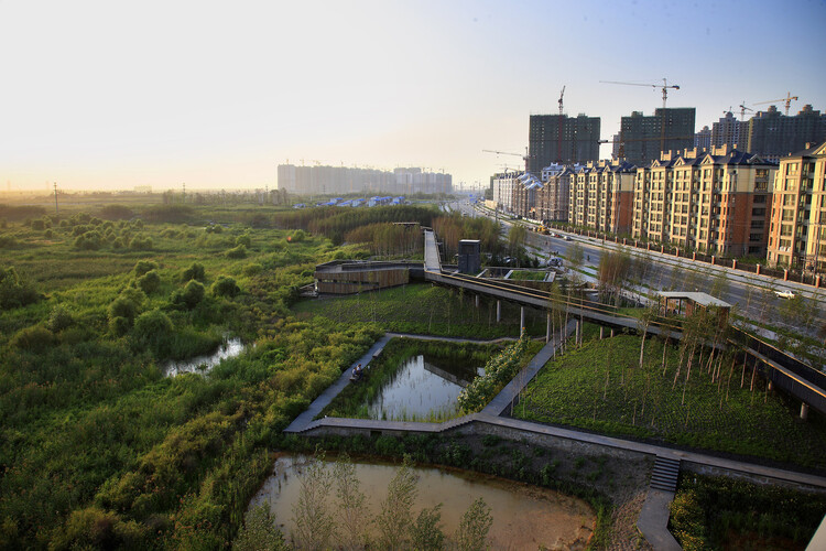 Designing for Stray Cities: Architecture Beyond the Human - Image 15 of 15