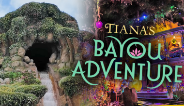 Boy Plunges 50 Feet at Disneyland's Tiana’s Bayou Adventure After Climbing Out Mid-Ride