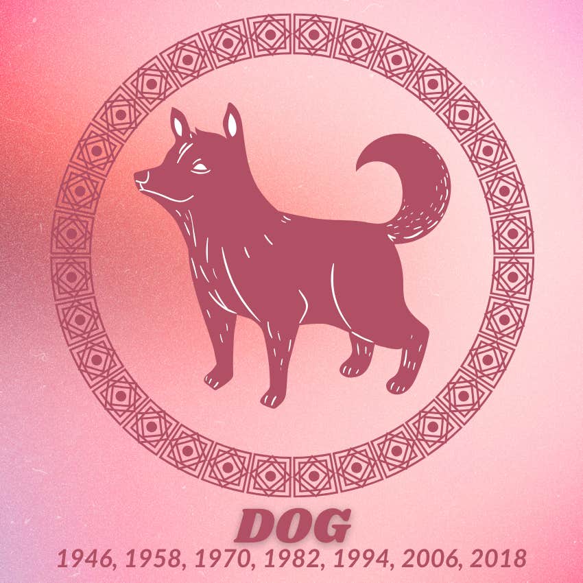 dog chinese zodiac signs luck financial success June 22 2026