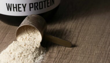 Are all whey proteins halal?