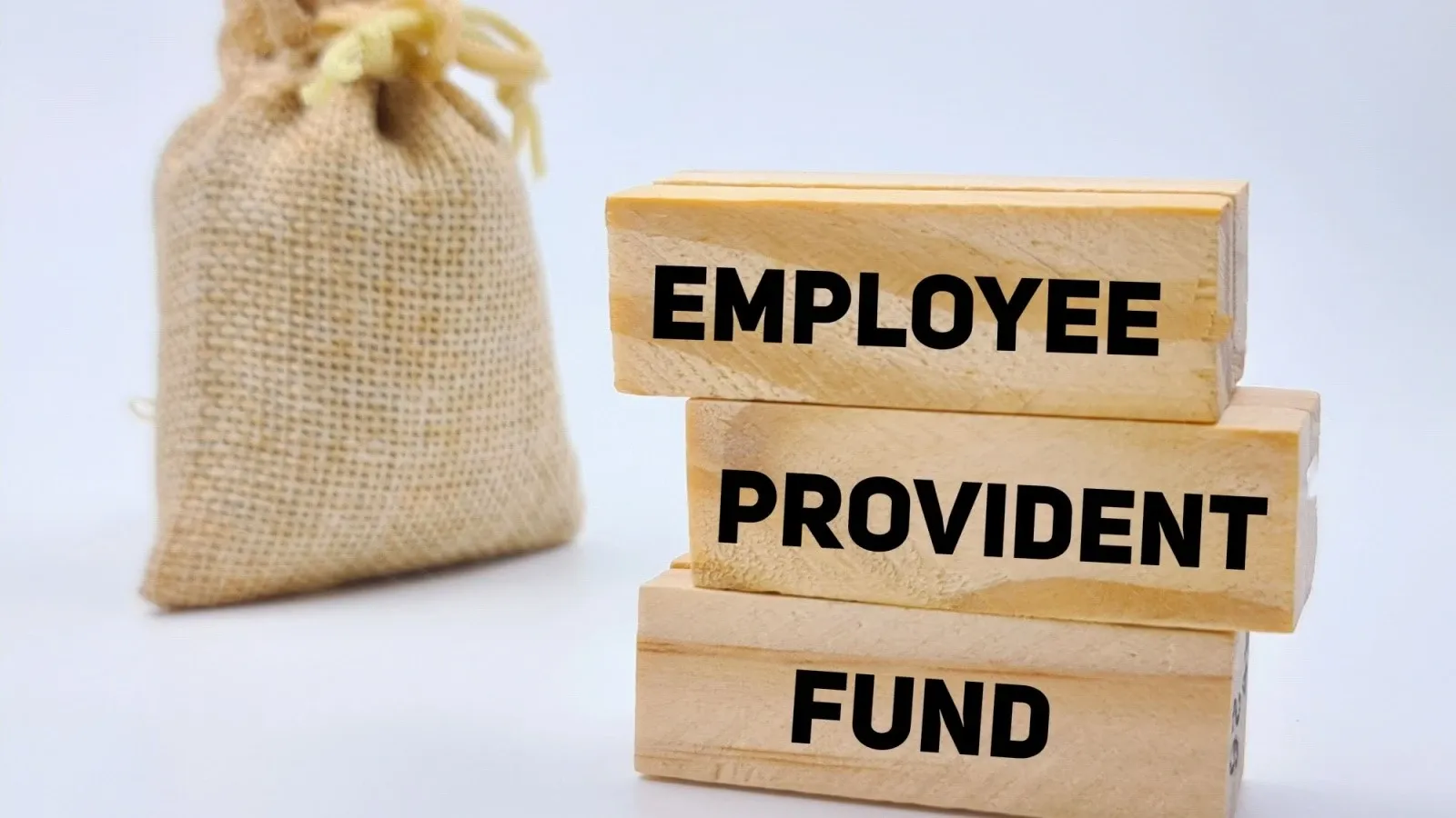 epf balance, interest, employer contribution check