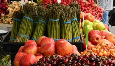 These are Mississauga's Four Farmers Markets to Support — Modern Mississauga Media