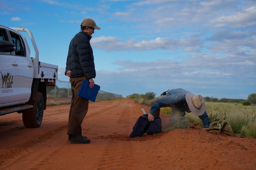 A man checks an animal trap while a UNSW student watches on.