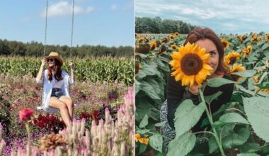 A flower farm near Montreal lets you pick bouquets in fields straight out of a fairytale