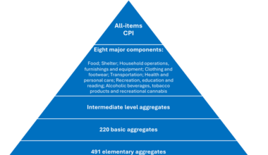 Figure 1 : Classification structure of the Consumer Price Index