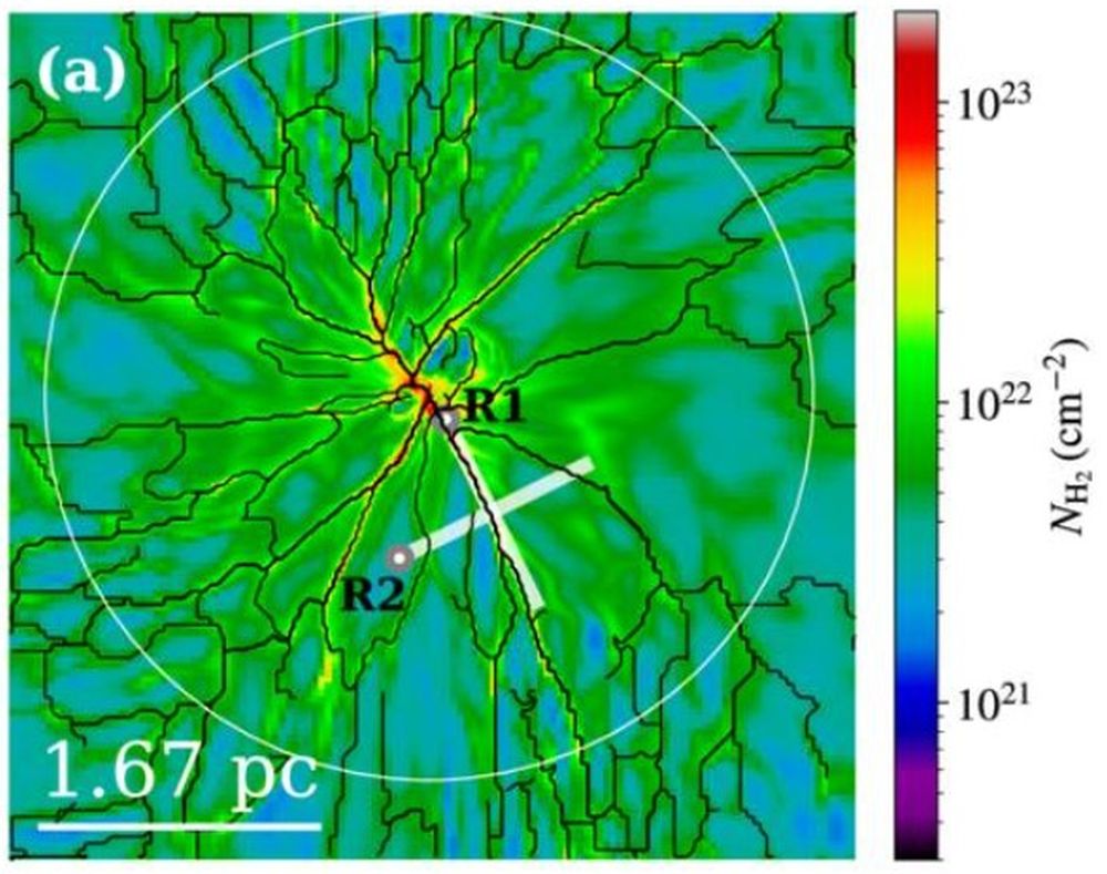In recent years, astronomers have discovered networks of filaments around star-formation sites inside giant molecular clouds. Scientists have theorized what might be going on, and if these filaments are behind the low-efficiency of star-formation. New simulations show what's happening, and how shock waves from supernovae play a role. Image Credit: Shingo Nozaki and Shu-ichiro Inutsuka 2026 ApJL 1000 L31.