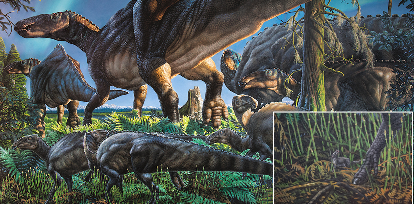 Life in the ancient Arctic: tiny teeth of newly discovered species suggest it was a cradle of mammalian evolution