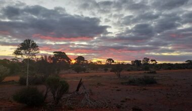 A meteorite impact may have once rained gold on Western Australia – new study