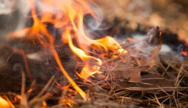 Two new wildland fires reported, including one near Agnew Lake