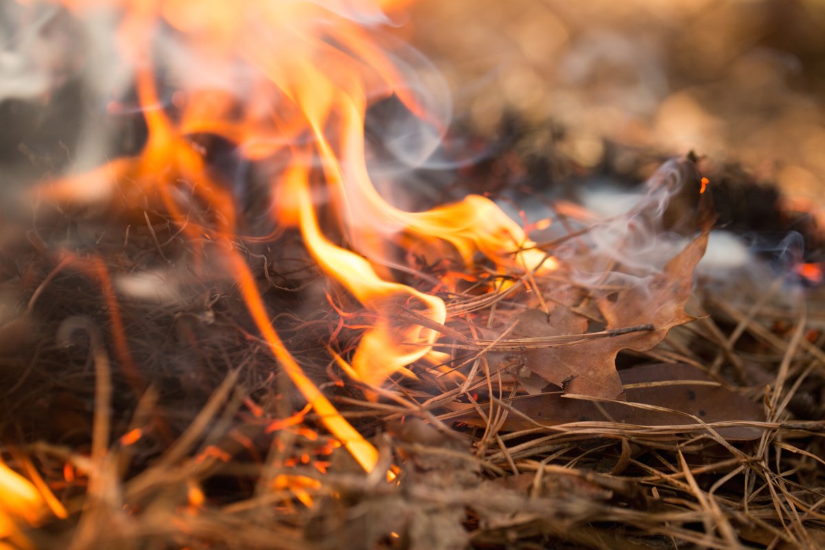Two new wildland fires reported, including one near Agnew Lake