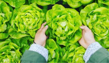 food inspection health peel mississauga brampton