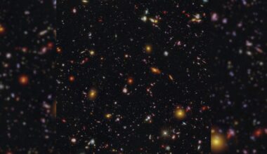 Galaxy field of MXDFz4.4 Hubble and Webb clean image