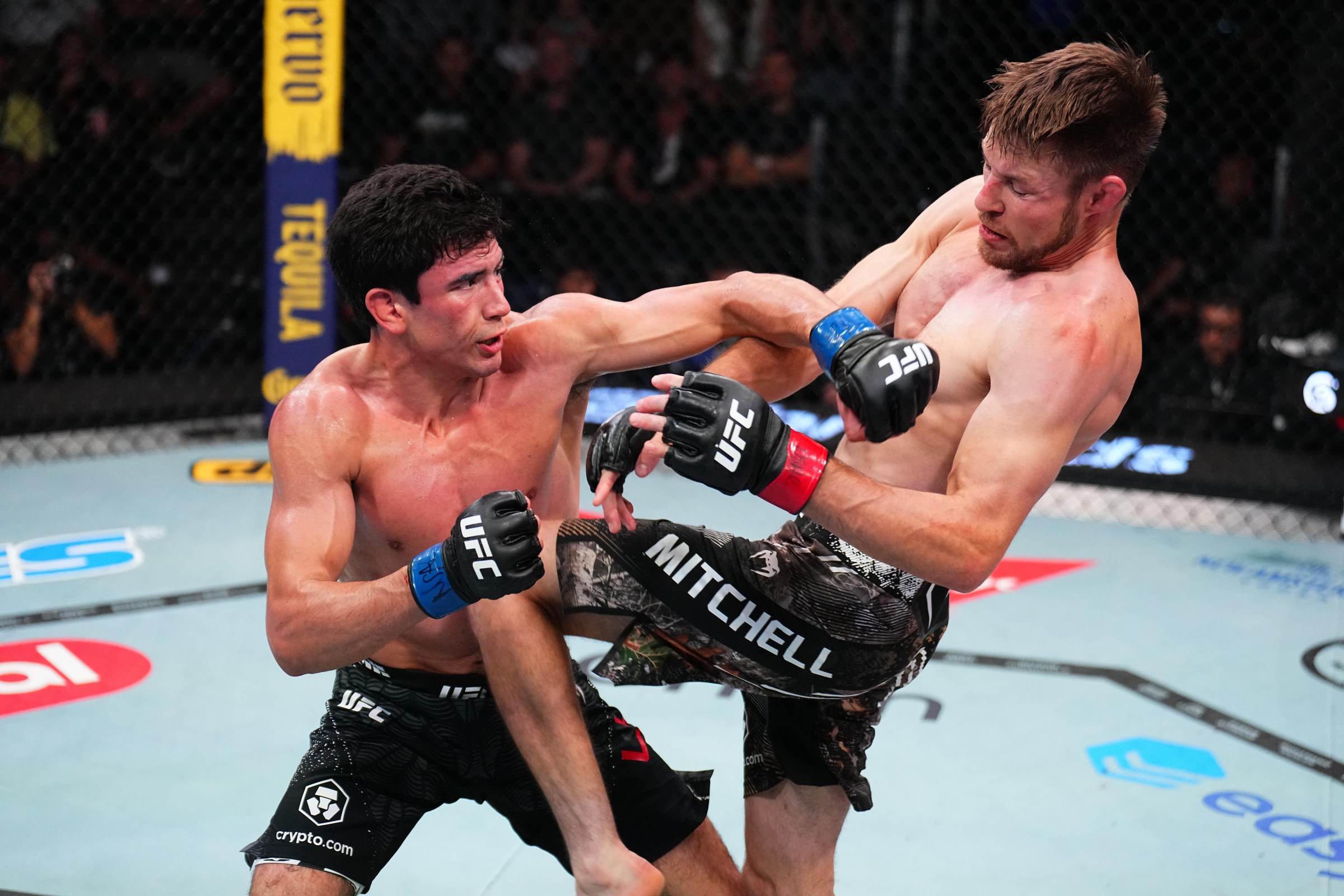 LAS VEGAS, NEVADA - JUNE 06: (R-L) Bryce Mitchell knees Santiago Luna in a bantamweight fight during the UFC Fight Night event at Meta APEX on June 06, 2026 in Las Vegas, Nevada. (Photo by Chris Unger/Zuffa LLC)