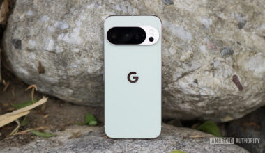 The Google Pixel 10 Pro in Jade, laying up against a rock.