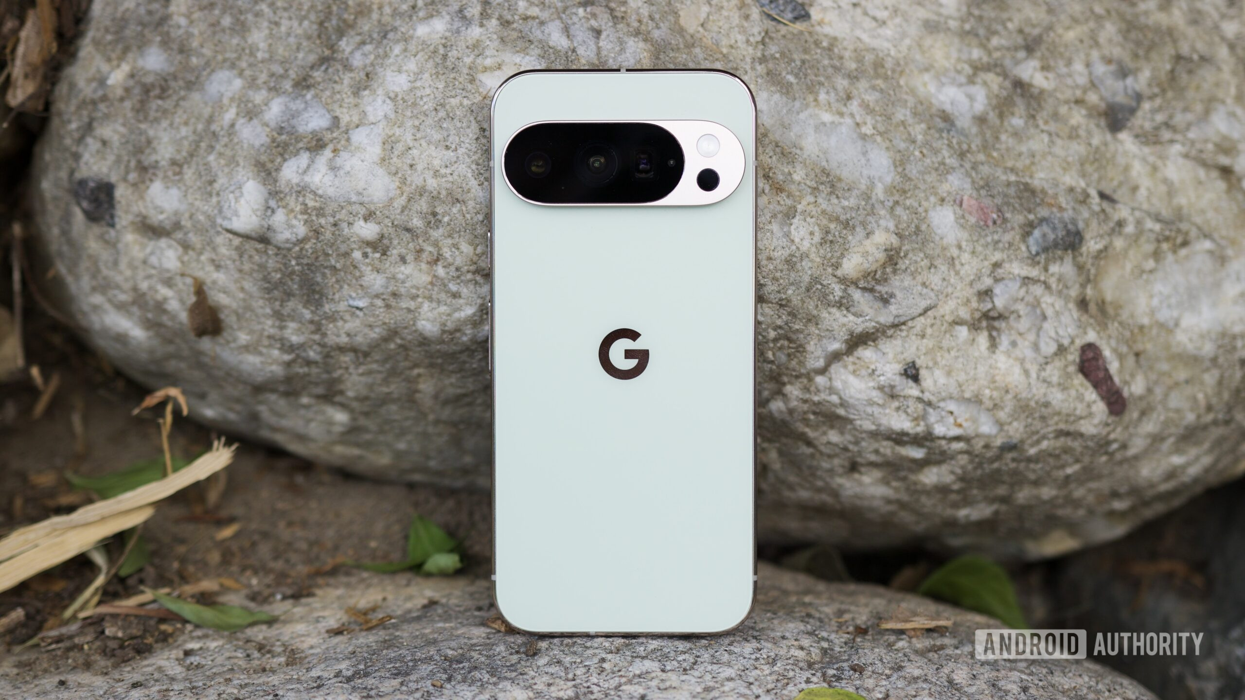 The Google Pixel 10 Pro in Jade, laying up against a rock.