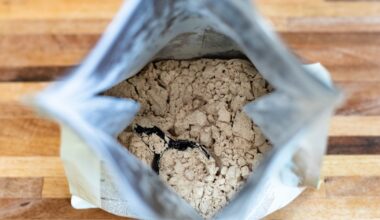 What’s the No. 1 Healthiest Plant Protein Powder? Dietitian Reveals Answer
