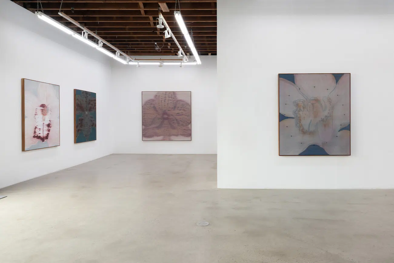 Heath Wae, installation views of “Mineral Meridian” at CARVALHO, New York, 2026.Courtesy Heath Wae and CARVALHO
