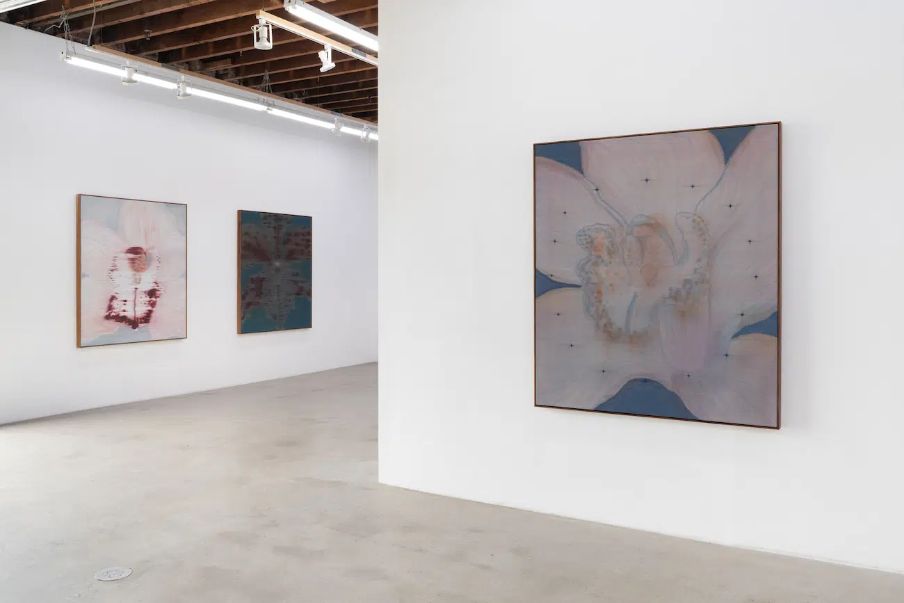 Heath Wae, installation views of “Mineral Meridian” at CARVALHO, New York, 2026.Courtesy Heath Wae and CARVALHO