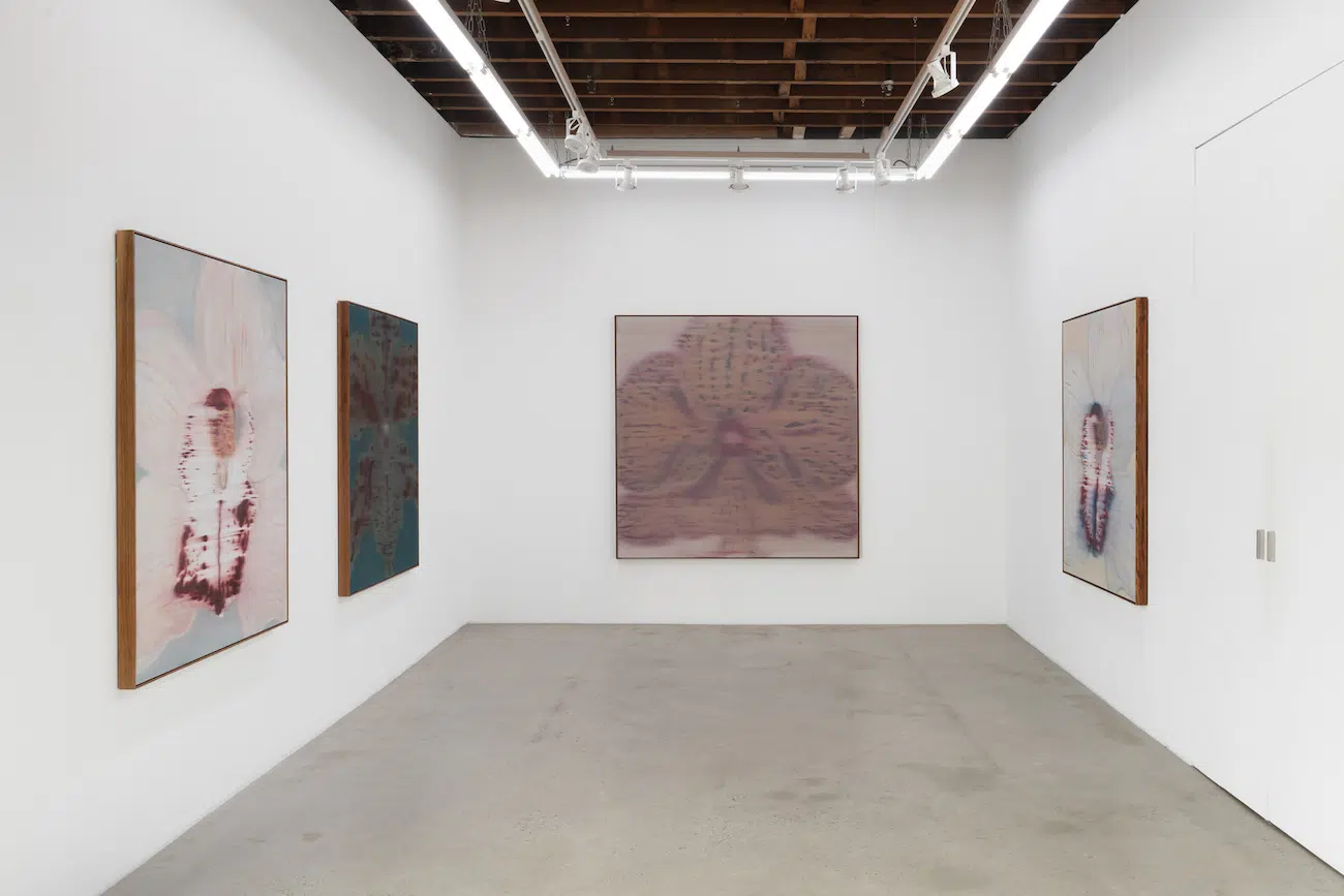 Heath Wae, installation views of “Mineral Meridian” at CARVALHO, New York, 2026.Courtesy Heath Wae and CARVALHO