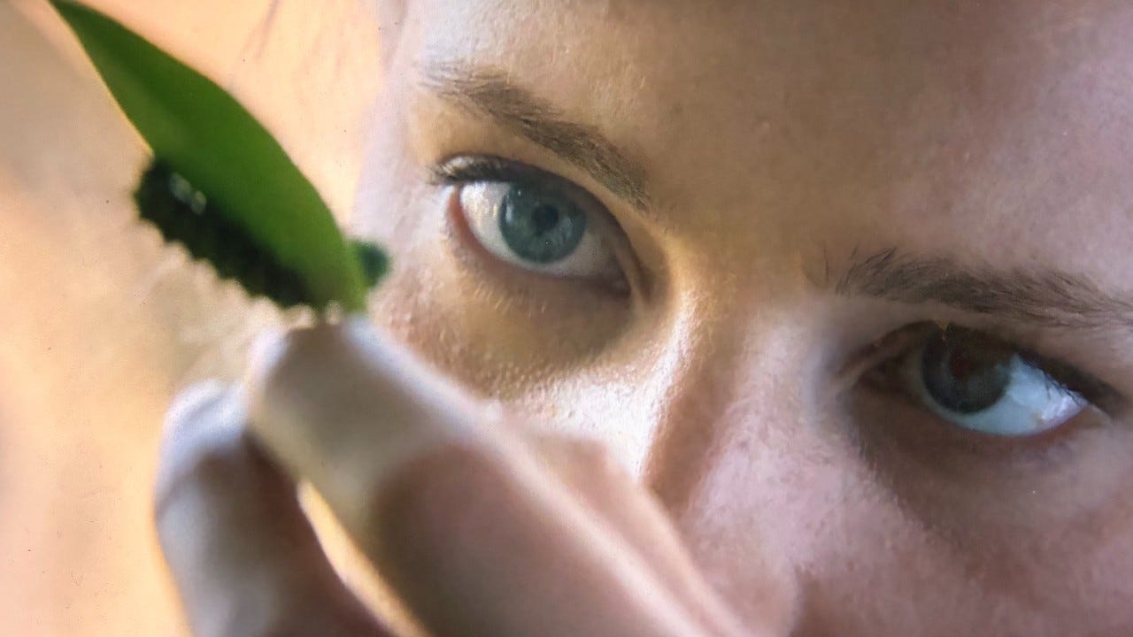 House of the Dragon Season 3: Helaena Comment Caterpillar Theory