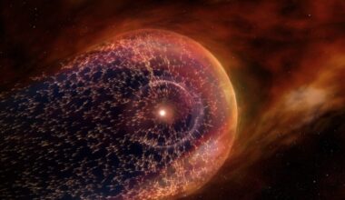 NASA’s New Horizons Reveals a Hidden Interstellar Slowdown at the Solar System’s Edge