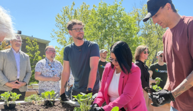 New Community Garden Aims to Bring Sense of Hope to The Gathering Place