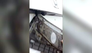 Video captures man intervening during LCBO theft in Mississauga – CP24
