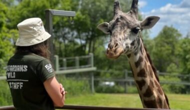 Toronto Zoo to provide complimentary field trips for TDSB classrooms – CP24