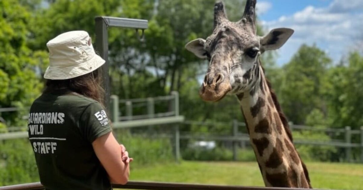 Toronto Zoo to provide complimentary field trips for TDSB classrooms – CP24