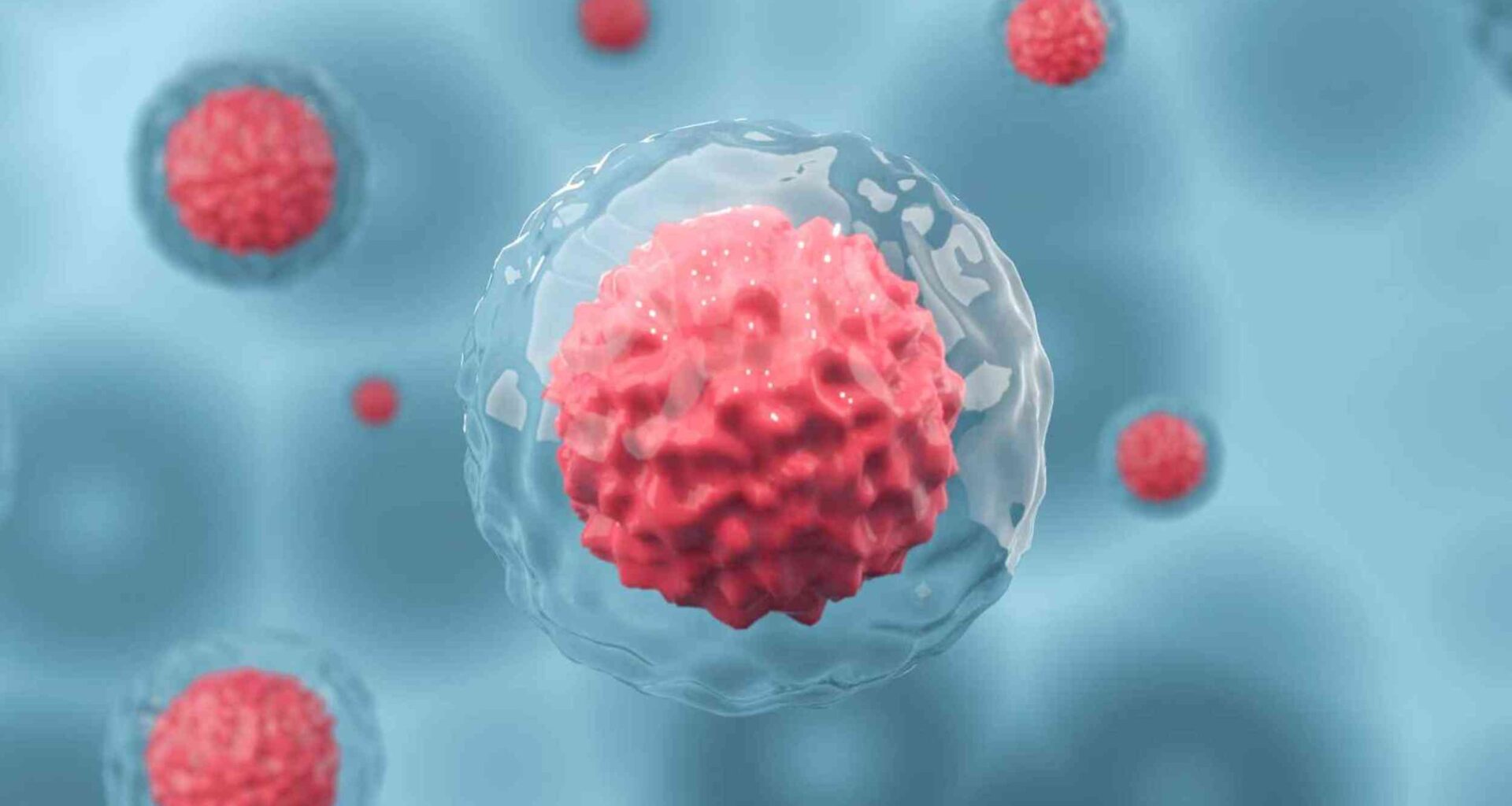 Embryos may rely on cell competition to keep development on track