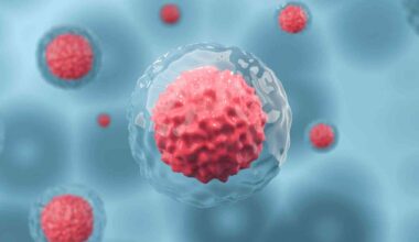 Embryos may rely on cell competition to keep development on track