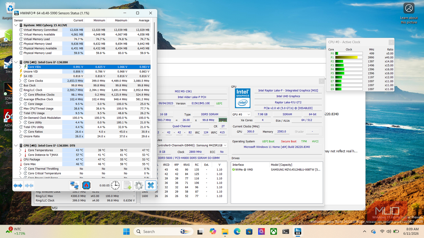 hwinfo64 on pc