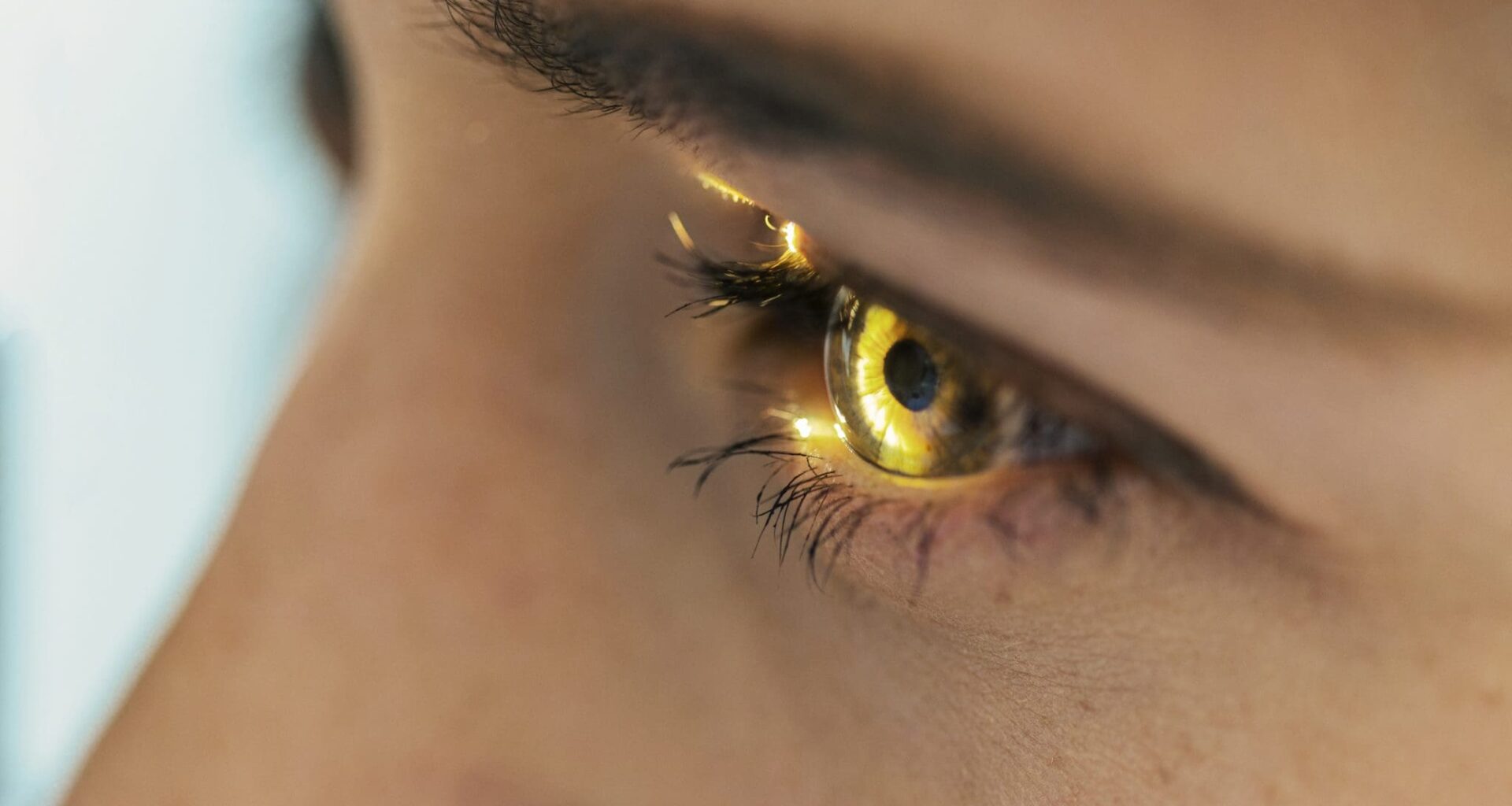 Close up of the eye