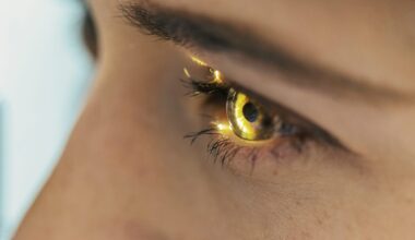 Close up of the eye